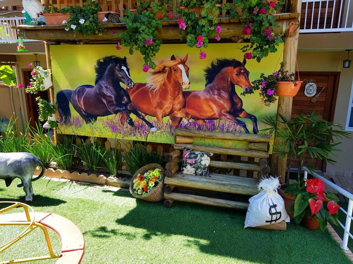 Pousada Alegria Do Cowboy Penha  Dış mekan fotoğraf